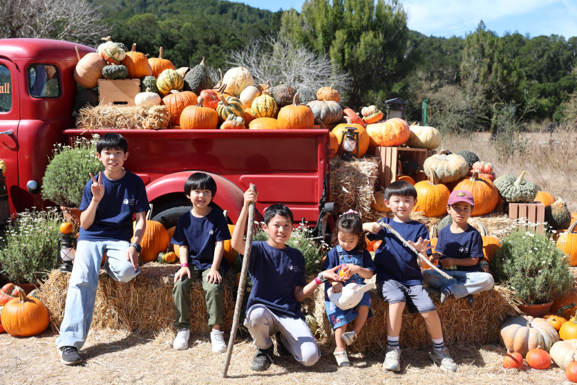 fa1a3897599fc3f4823c13b0038a6efd_1790654172_7518.JPG