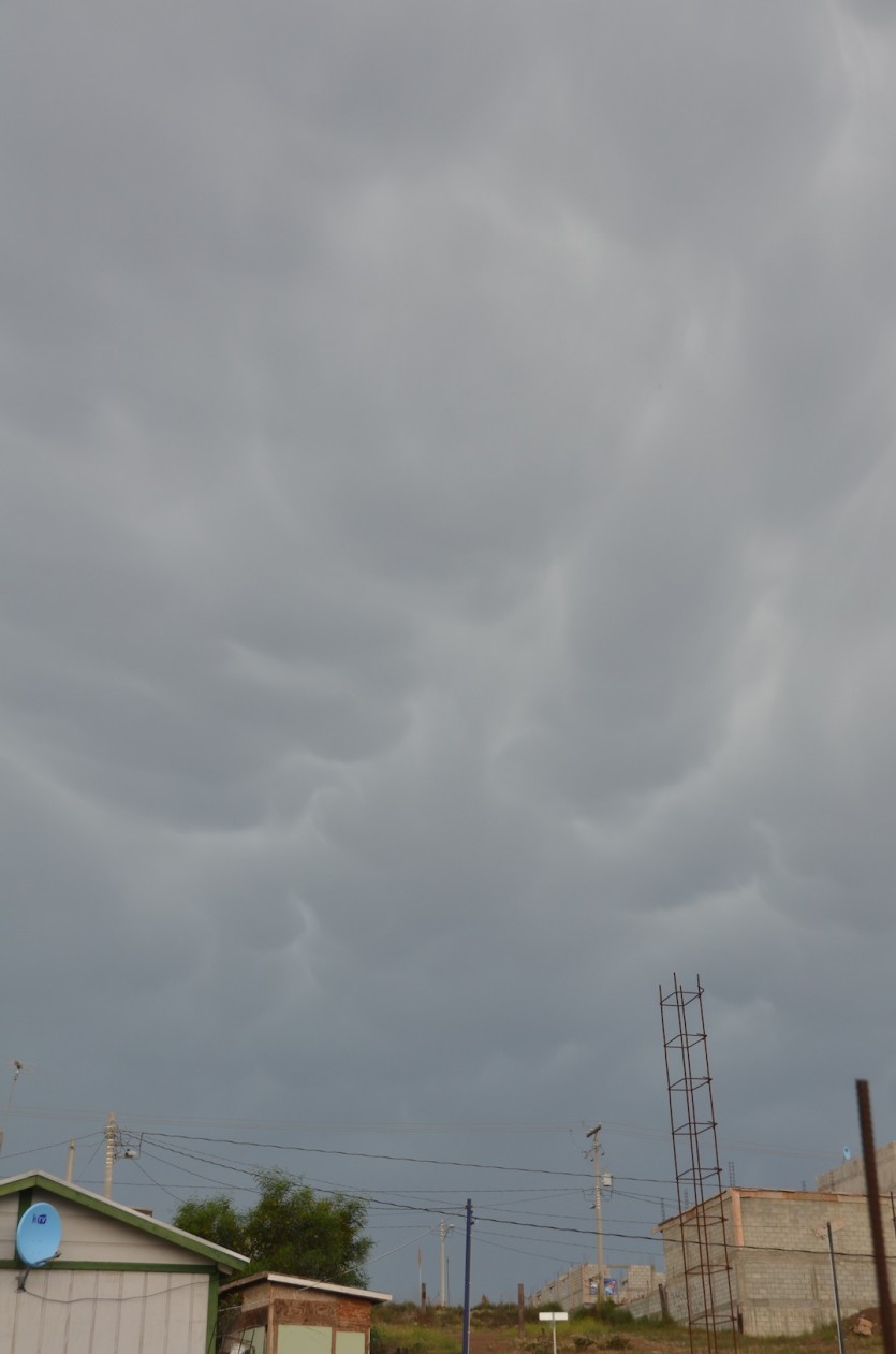 D7K_3655.JPG