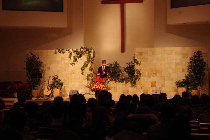 IMGP8016.JPG